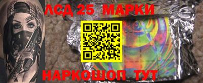 твердый Бердск