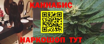 твердый Бердск