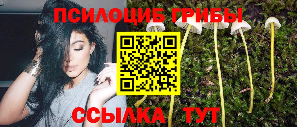 Псилоцибиновые грибы Magic Shrooms Зеленокумск